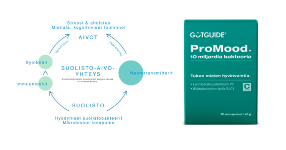 Graafi-suolisto-kommunikoi-aivojen-kanssa-verenkierron-ja-vagushermon-kautta